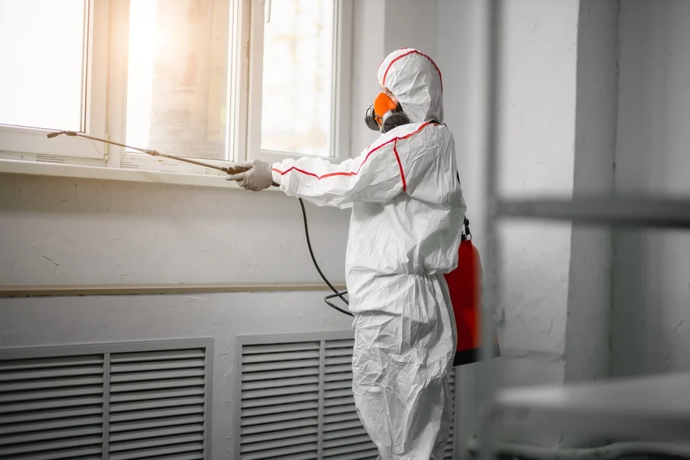 Professional mold remediation services in River Rouge, MI